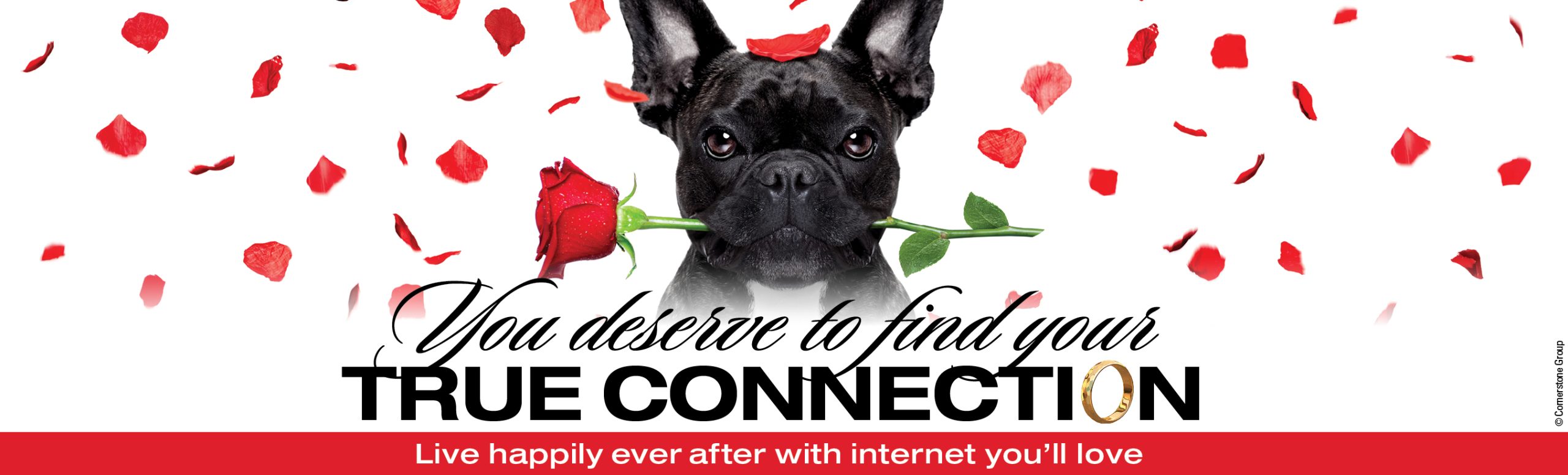 Find your true connection