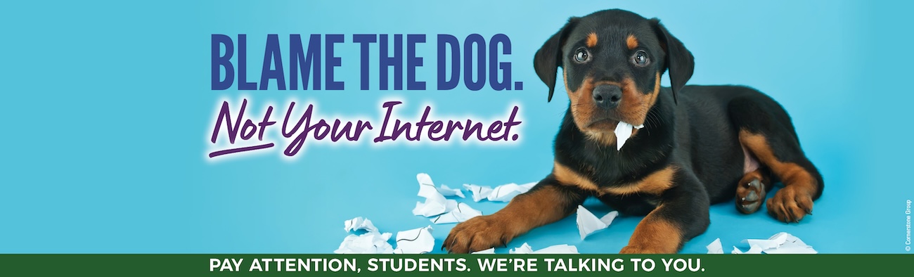 Blame the dog, not your internet